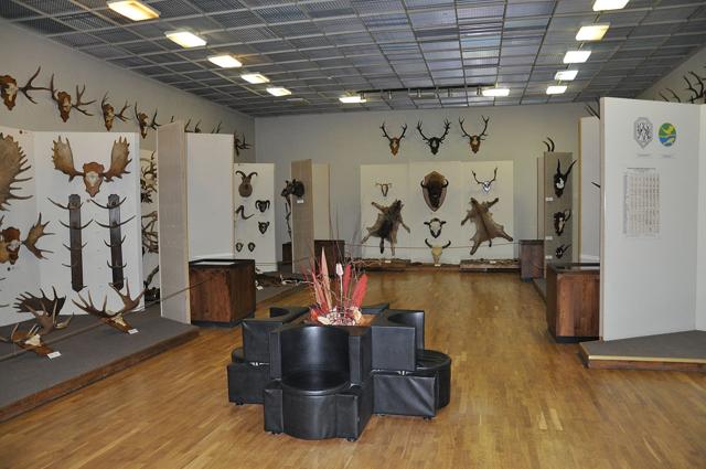 Tadas Ivanauskas Zoological Museum